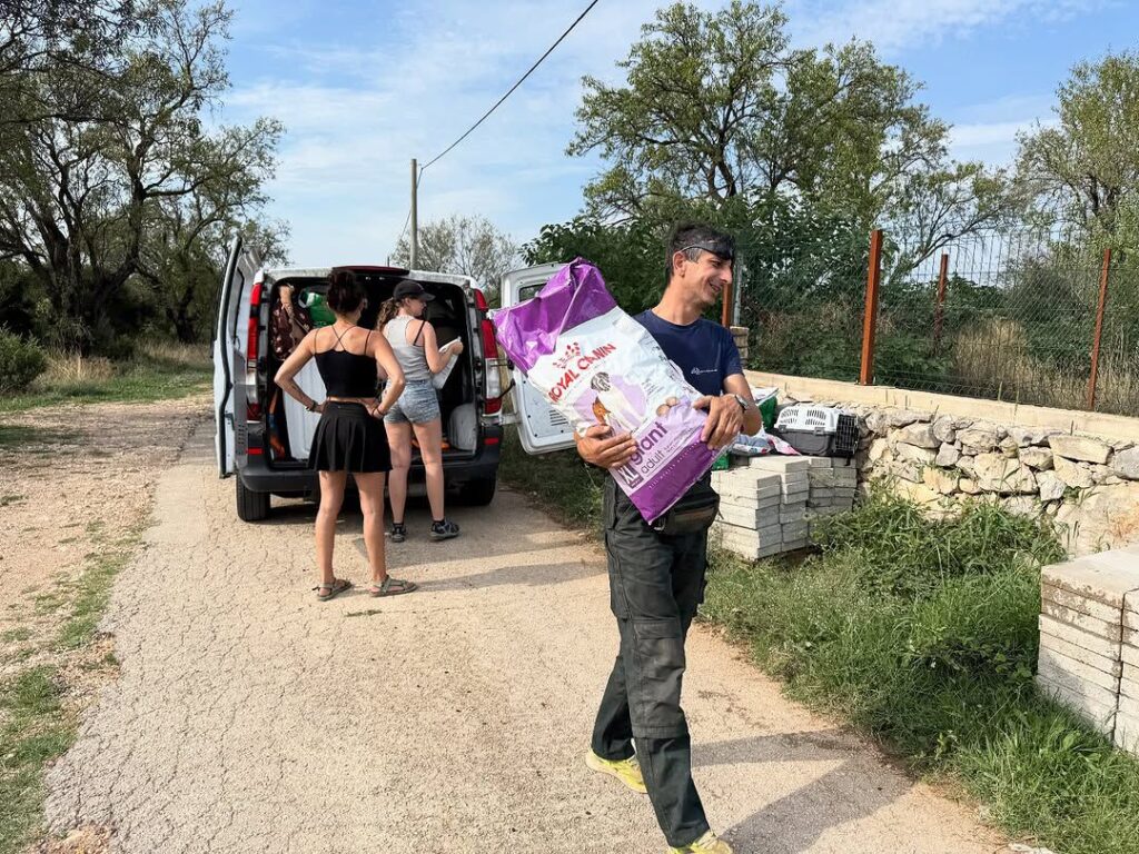 Ein großes Dankeschön an den Hagebau in Hettstedt – Bild 2