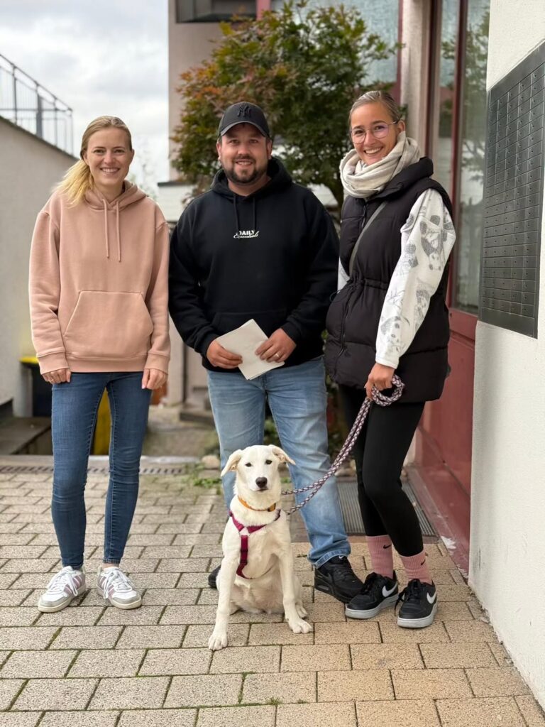 Happy End für zwei weitere Hundekinder aus Kroatien – Bild 6