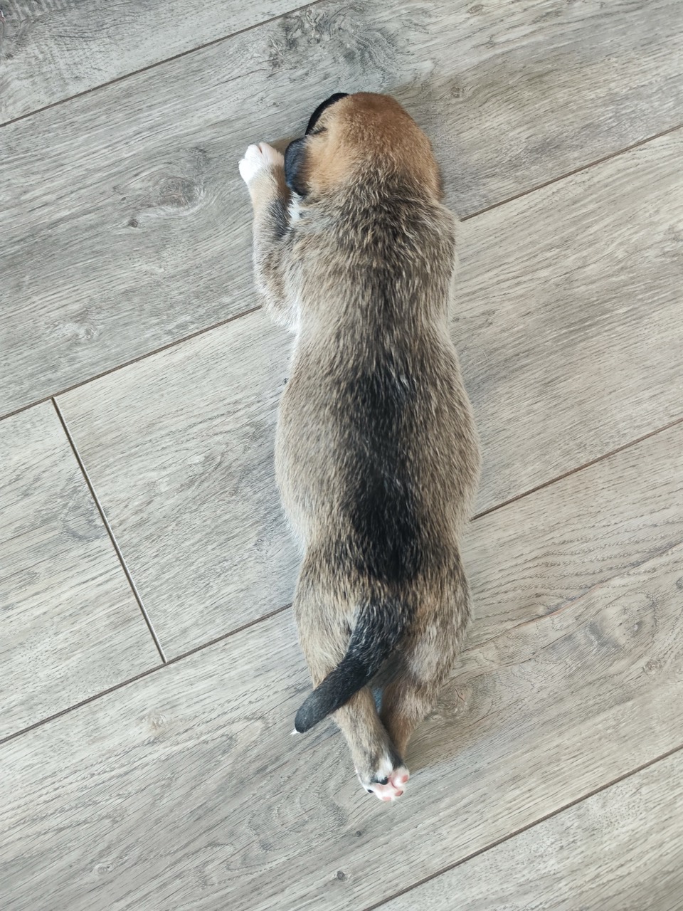Bianca Foto 11