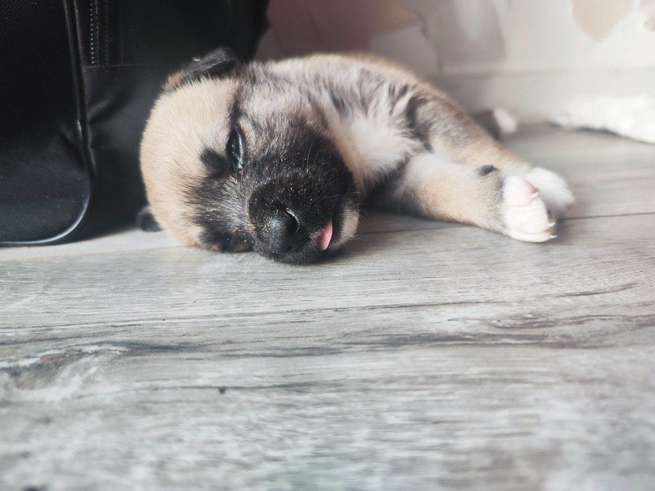 Bianca Foto 13