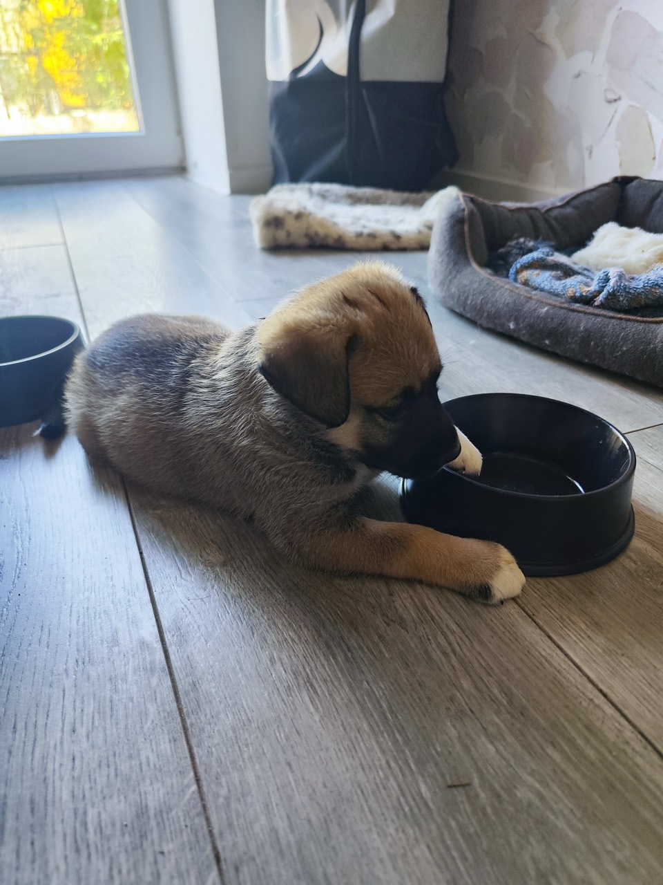 Bianca Foto 20