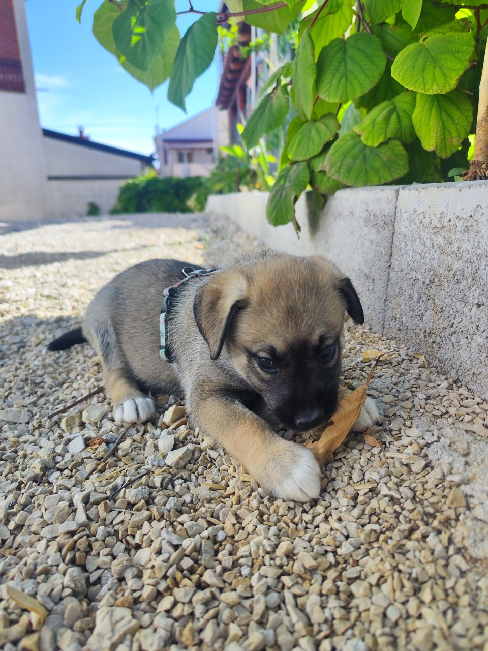 Bianca Foto 27