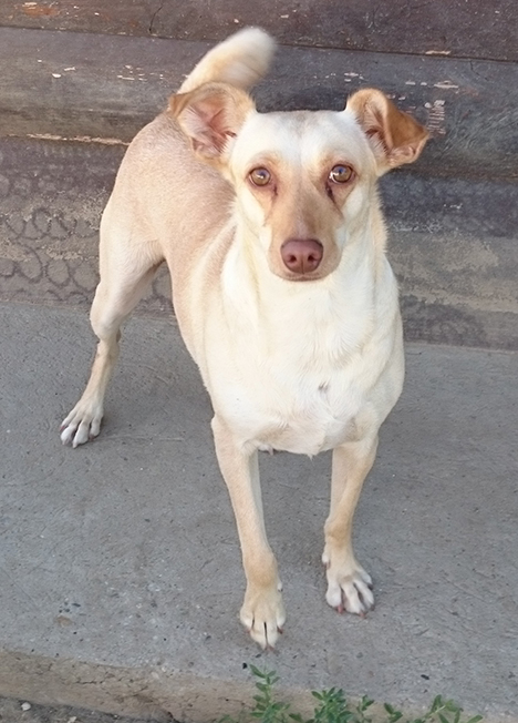 Monguze – Erfolgreich vermittelt