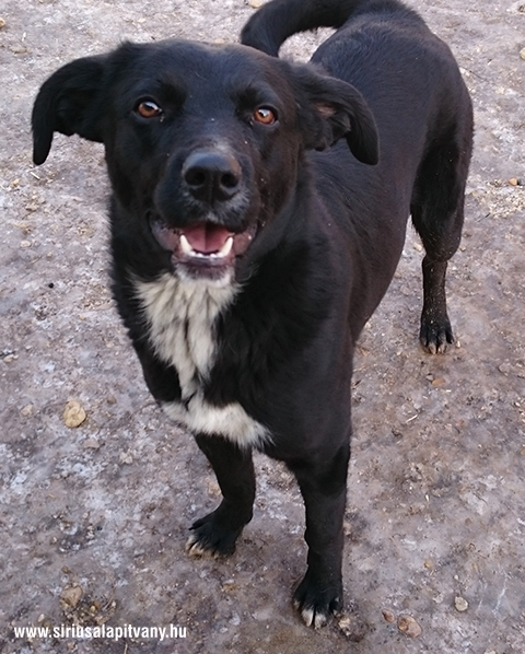 Renee – Erfolgreich vermittelt